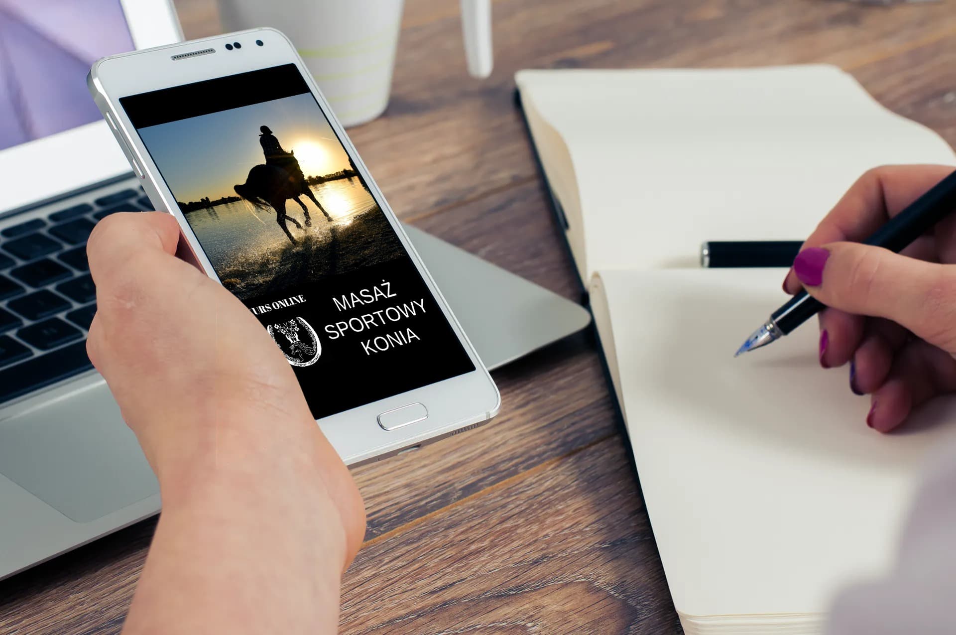 Kurs online – Masaż Sportowy Konia