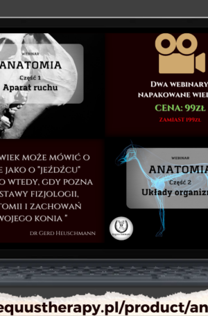 Minikurs: “Niezbędnik końskiej anatomii”