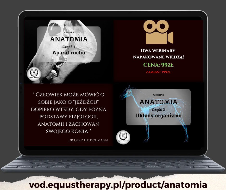 Minikurs: “Niezbędnik końskiej anatomii”