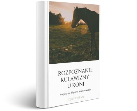 E-BOOK Rozpoznanie kulawizny u koni