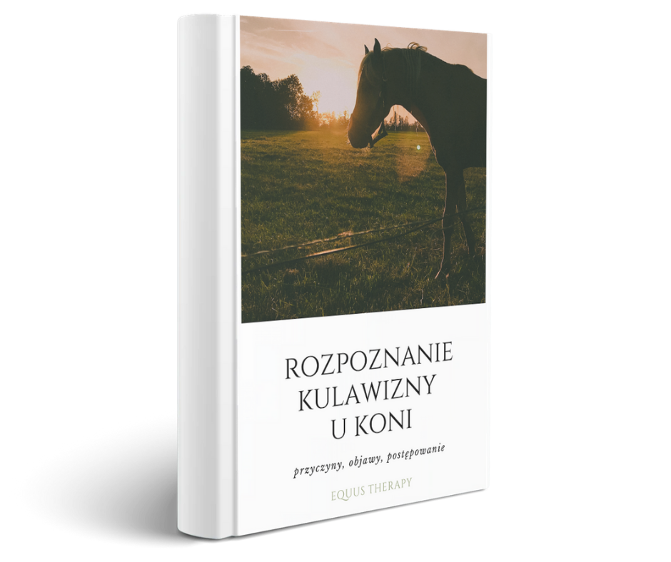 E-BOOK Rozpoznanie kulawizny u koni